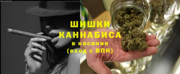 стафф Няндома