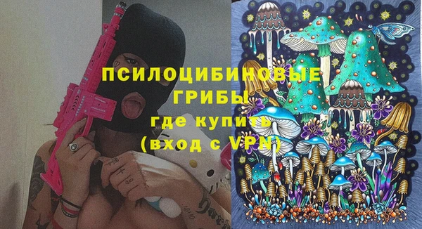 стафф Няндома